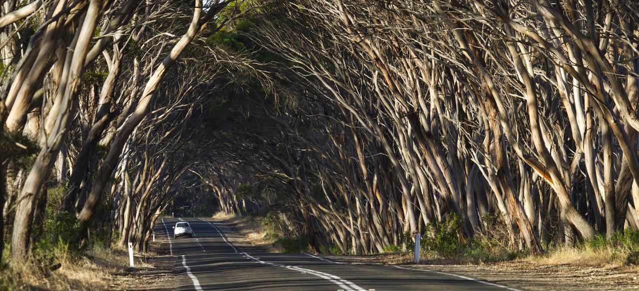 Mercure Kangaroo Island Lodge American River Bagian luar foto